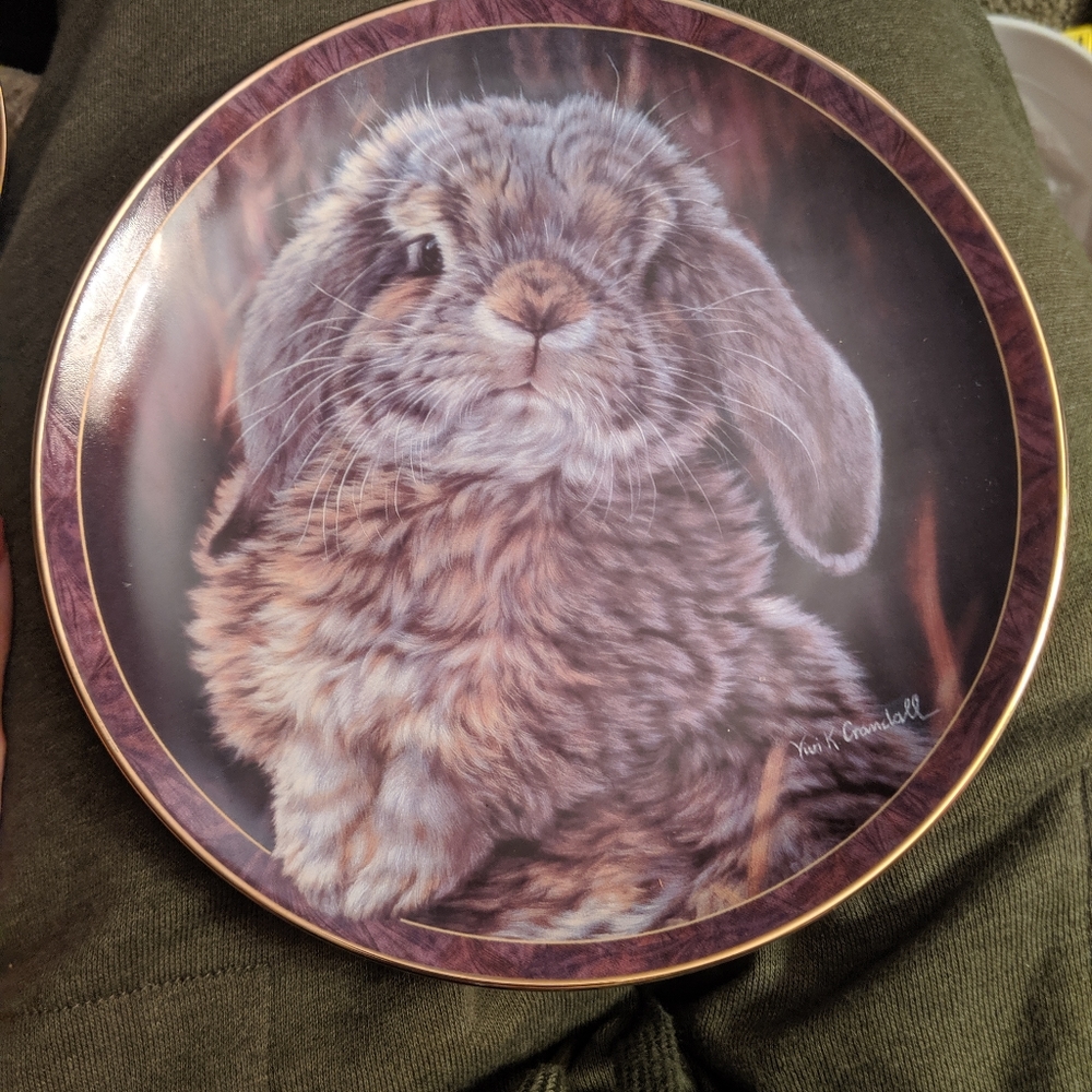 Bradford exchang commerative plate